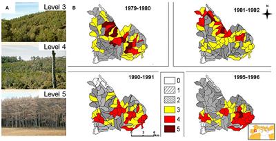 Patterns and Drivers of Pine Processionary Moth Defoliation in Mediterranean Mountain Forests